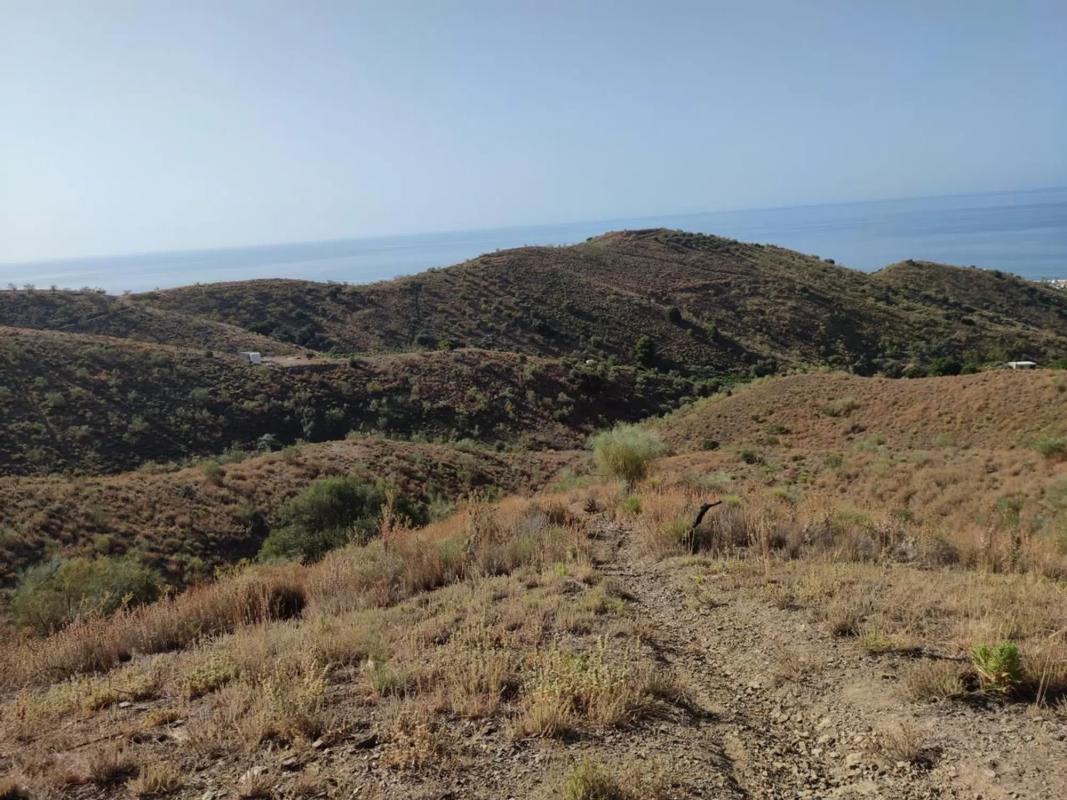 Land for sale in Chilches, Malaga photo 2