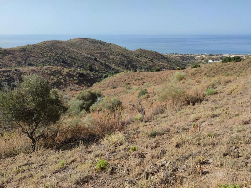 Land for sale in Chilches, Malaga photo 3