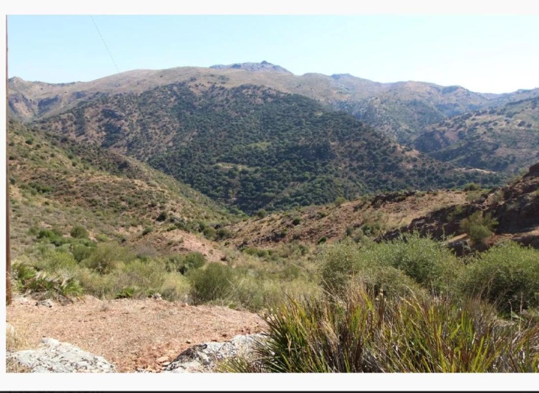 Terreno en venta en Benaojan, Malaga photo 5