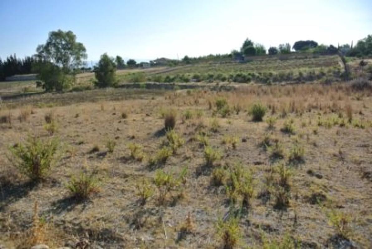 Terreno en venta en Alhaurín de la Torre, Malaga photo 2