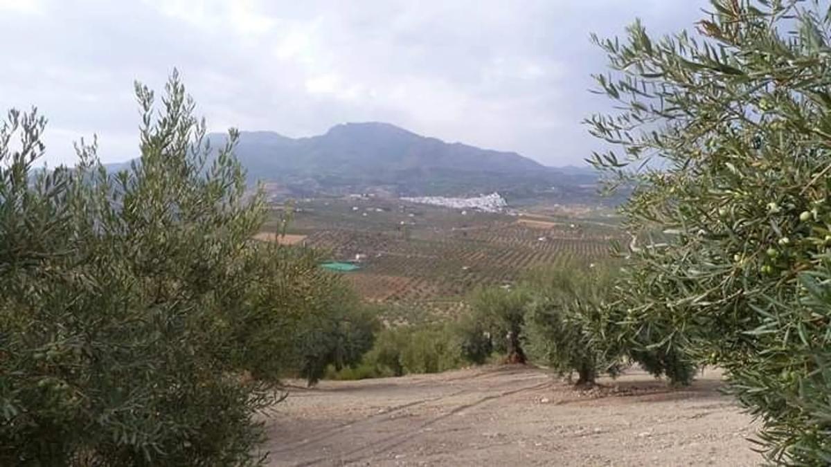 Terreno en venta en Alozaina, Malaga photo 1
