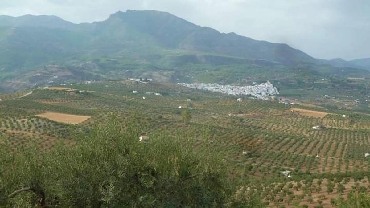 Terreno en venta en Alozaina, Malaga photo 4