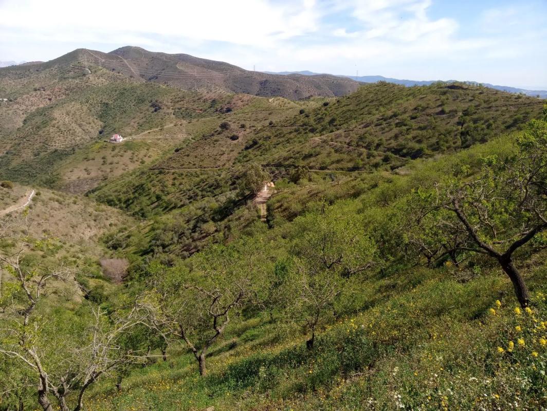 Działka na sprzedaż w Almogía, Malaga photo 2
