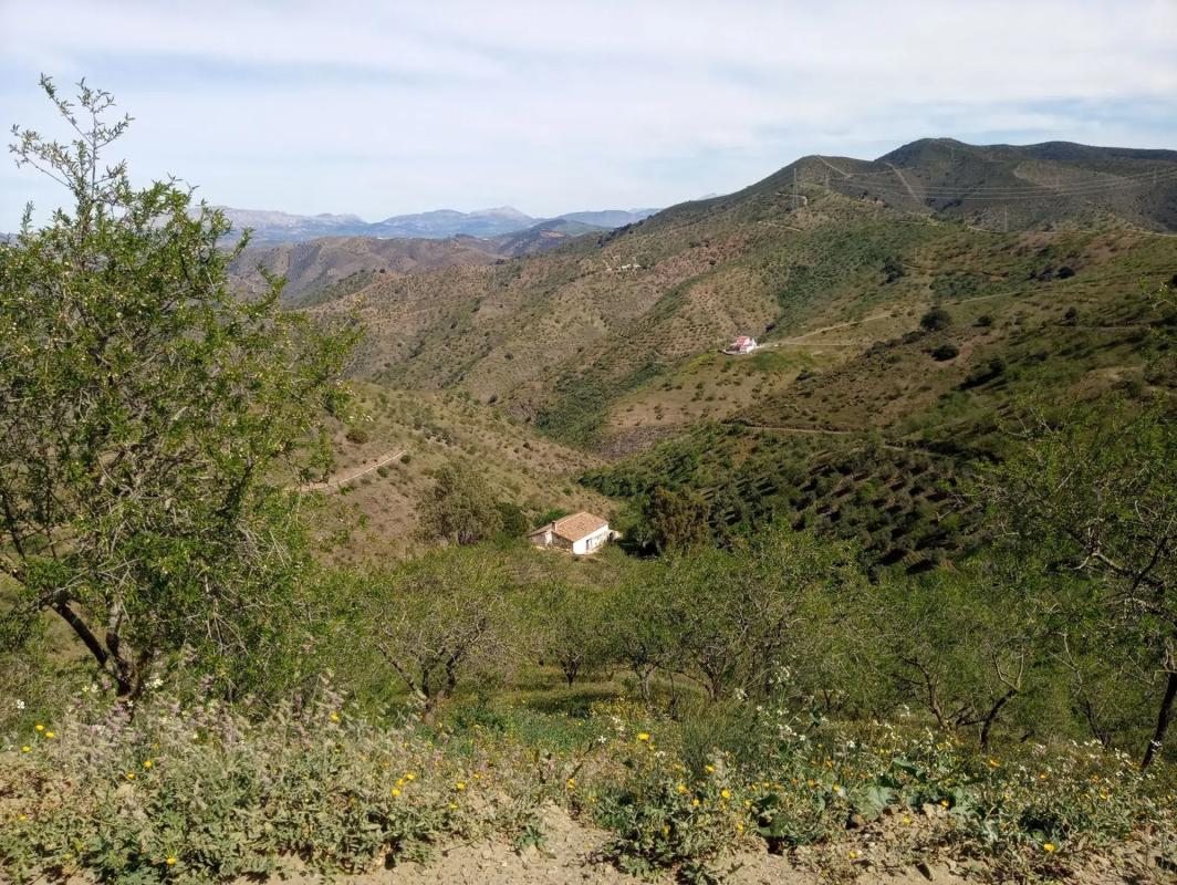 Działka na sprzedaż w Almogía, Malaga photo 5