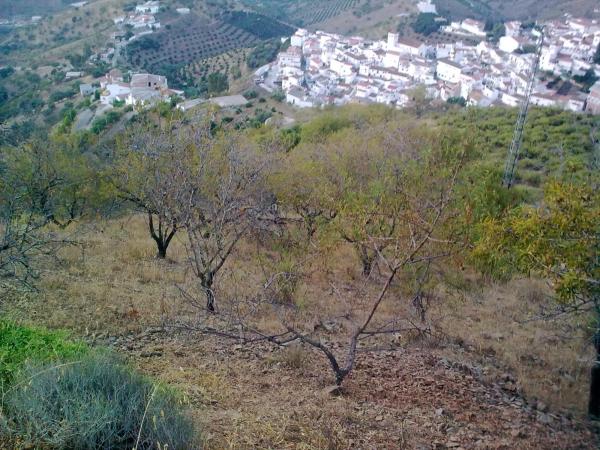 Terreno en Km4, km 4 photo 1