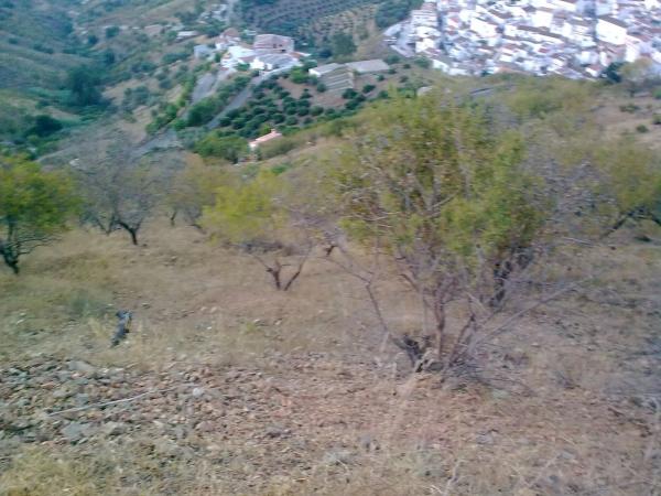 Terreno en Km4, km 4 photo 3