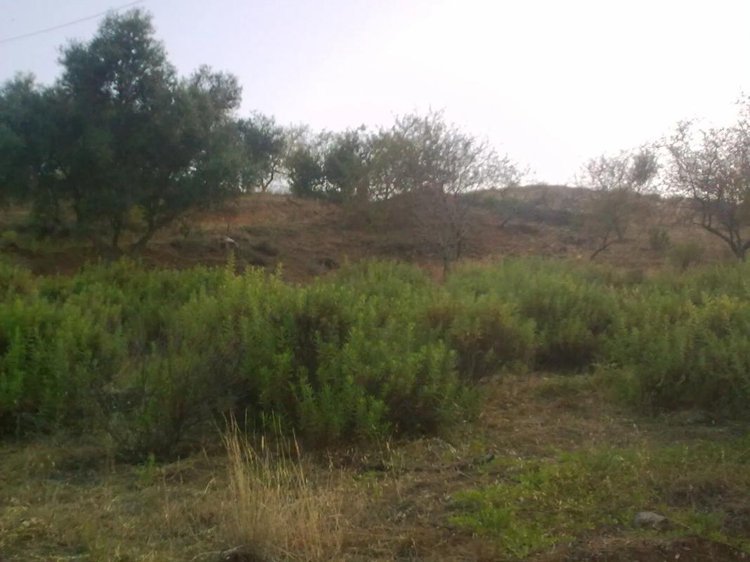 Участок земли на продажу в Изнате, Малага photo 5