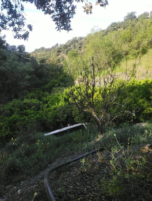 Terreno en venta en Salares, Malaga photo 4