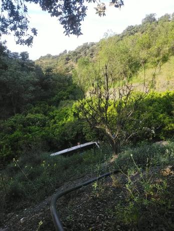 Terreno en carril del Pino, 1 photo 4