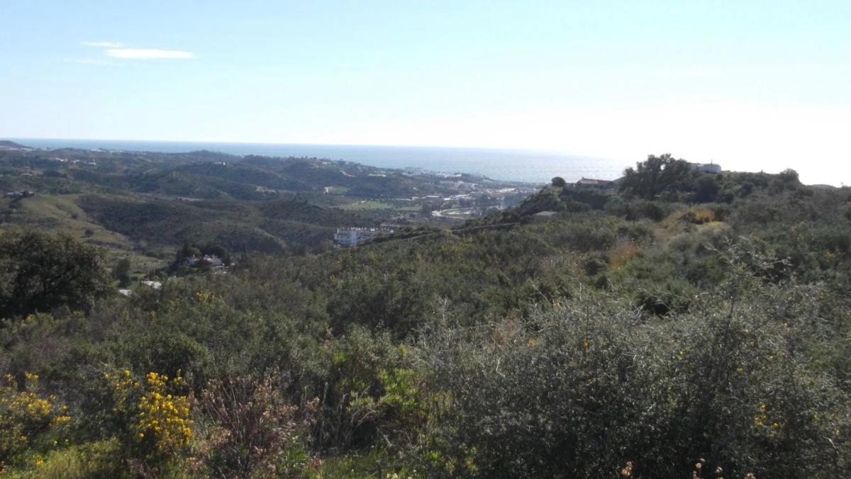 Terreno en venta en Mijas, Malaga photo 5