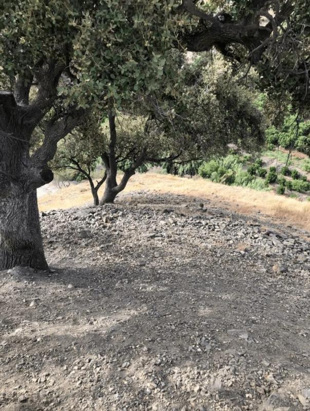 Terreno en venta en Canillas de Aceituno, Malaga photo 3