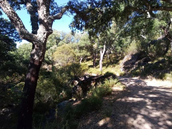 Terreno en Quejigal s/n photo 1