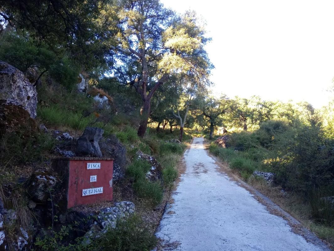 Działka na sprzedaż w Montejaque, Malaga photo 2