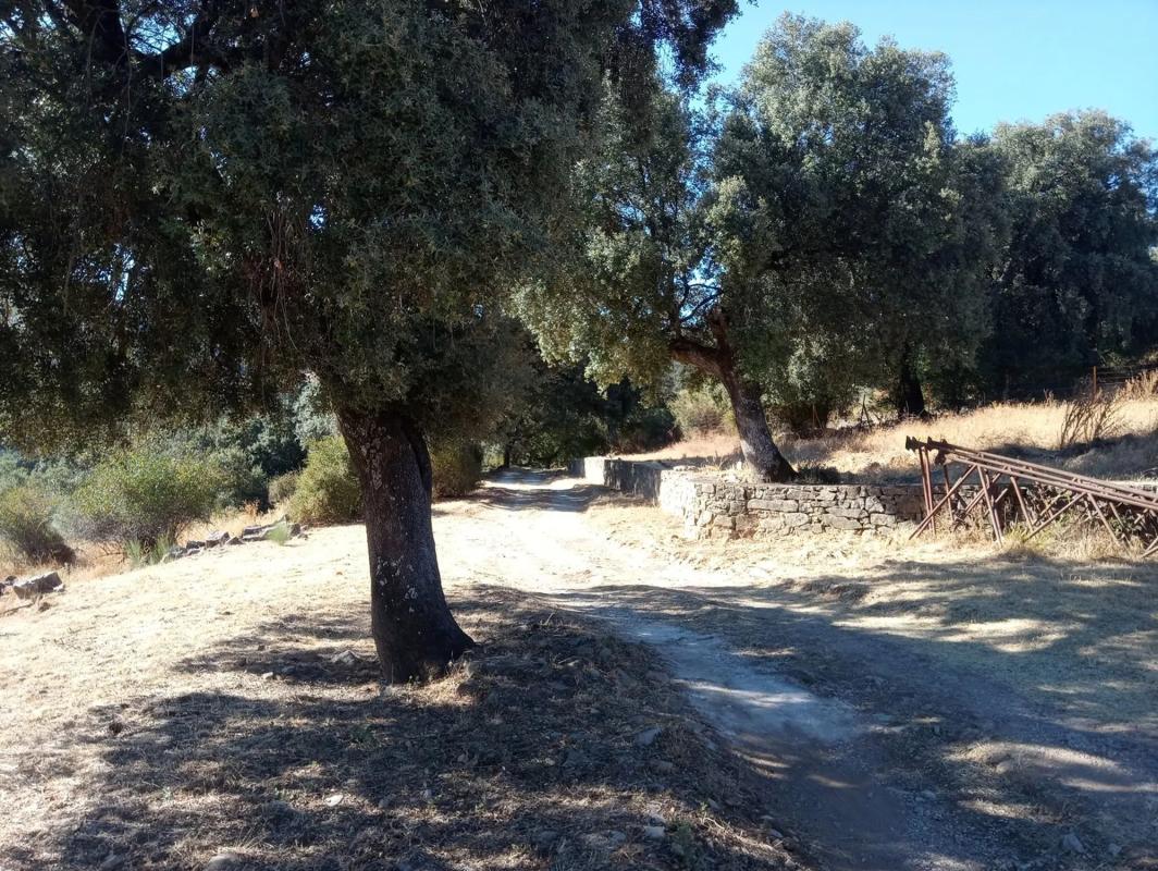 Działka na sprzedaż w Montejaque, Malaga photo 3