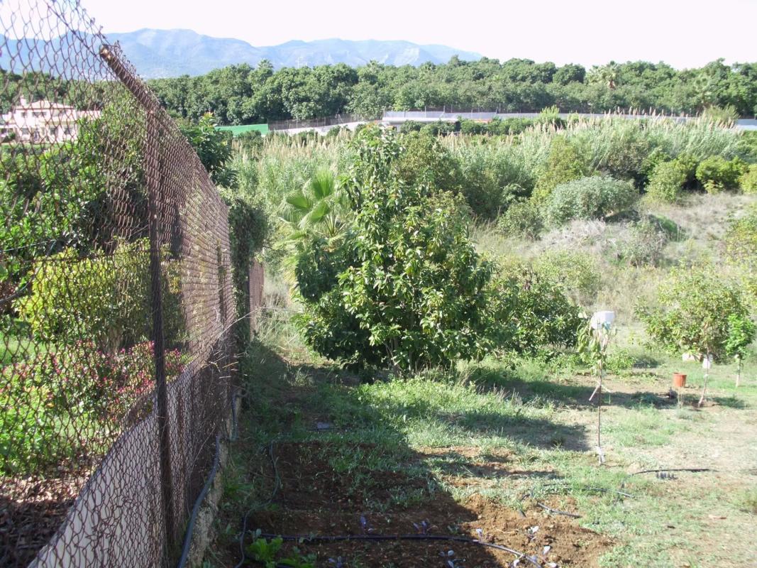 Terreno en venta en Alhaurín de la Torre, Malaga photo 1