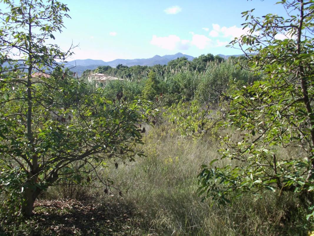 Terreno en venta en Alhaurín de la Torre, Malaga photo 2