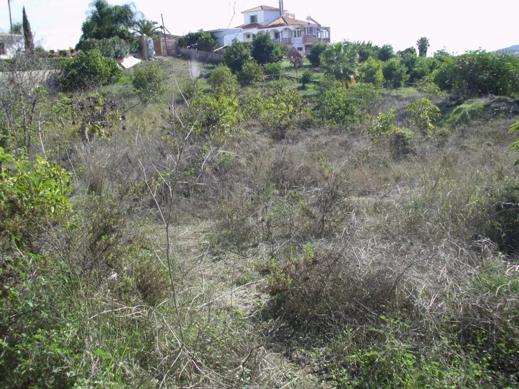 Terreno en venta en Alhaurín de la Torre, Malaga photo 3