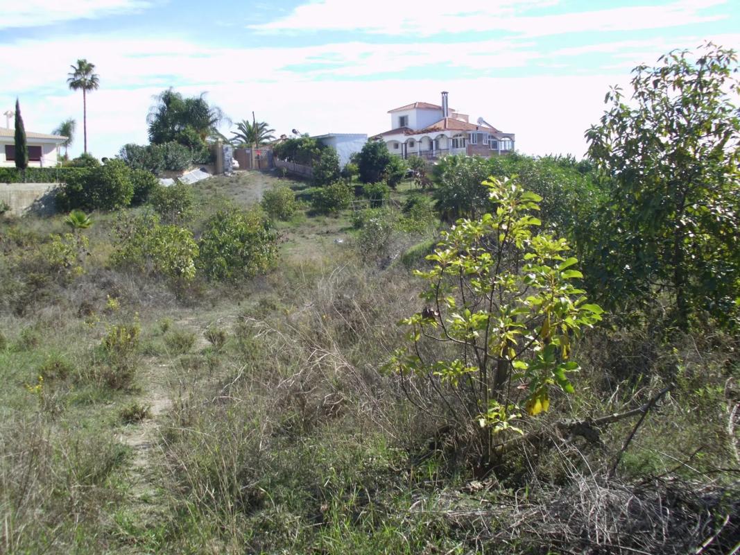 Terreno en venta en Alhaurín de la Torre, Malaga photo 4