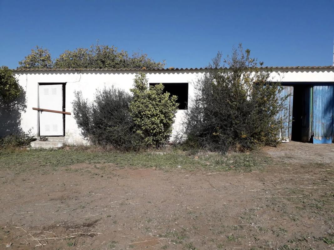 Land for sale in Málaga, Malaga photo 3