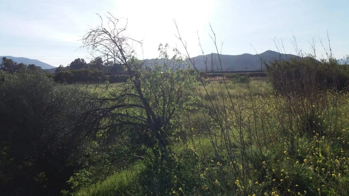 Land for sale in Málaga, Malaga photo 4