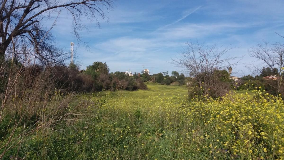 Land for sale in Málaga, Malaga photo 5