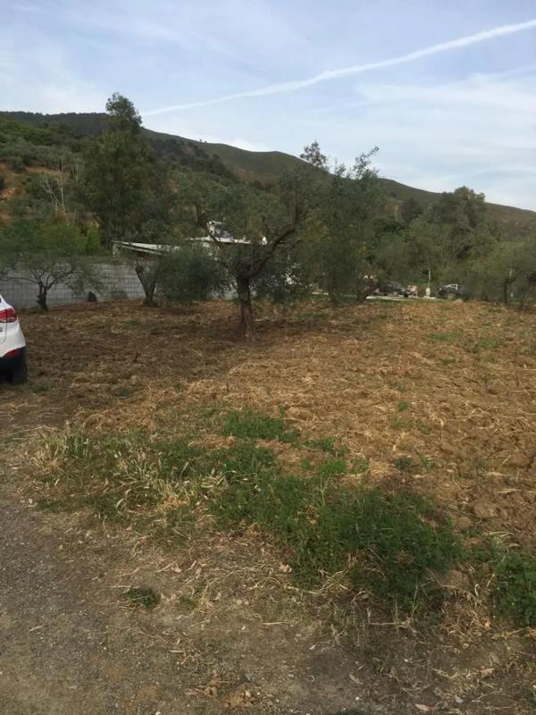 Land for sale in Casarabonela, Malaga photo 2