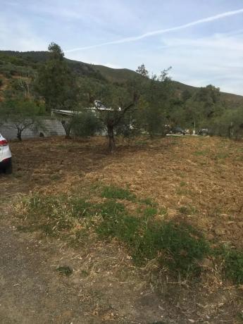 Terreno en Arroyoy de Casarabonela s/n photo 2