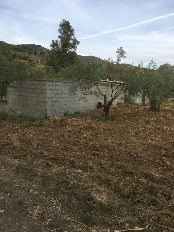 Land for sale in Casarabonela, Malaga photo 3