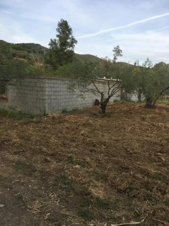 Terreno en Arroyoy de Casarabonela s/n photo 3