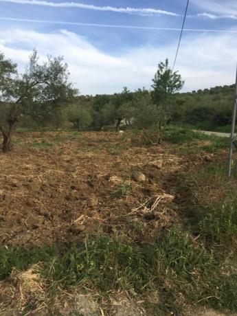 Terreno en Arroyoy de Casarabonela s/n photo 4