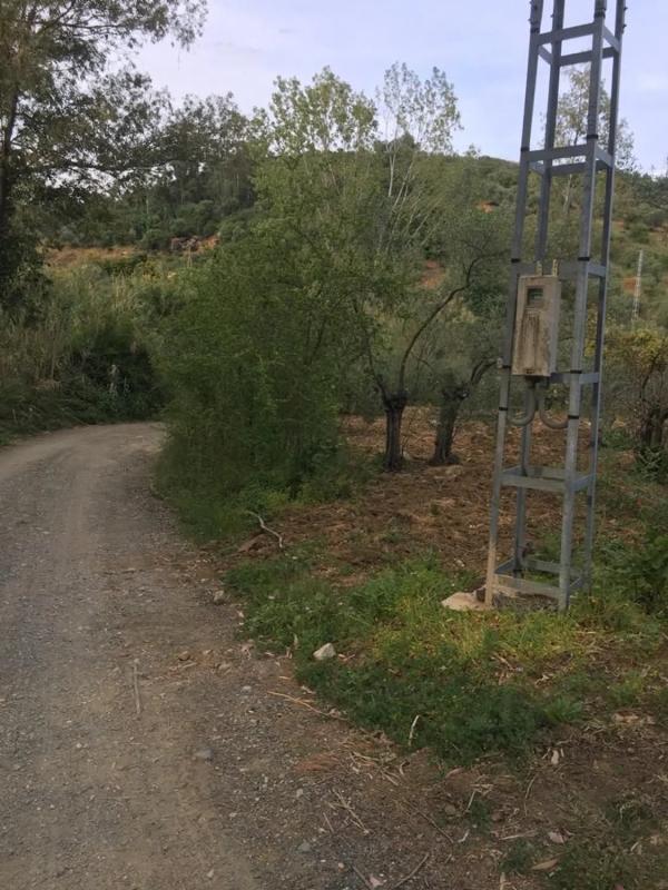 Land for sale in Casarabonela, Malaga photo 5