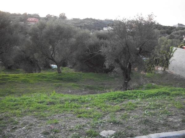 Terreno en calle Telera, 2 thumbnail 1