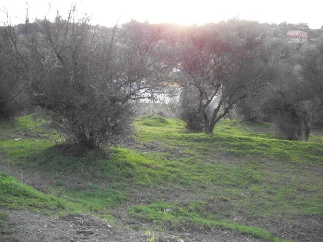 Terreno en venta en Mijas, Malaga photo 3