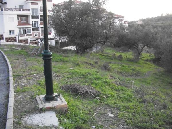 Terreno en calle Telera, 2 photo 4