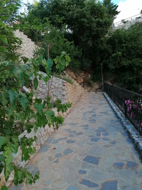 Land for sale in Canillas de Aceituno, Malaga photo 2