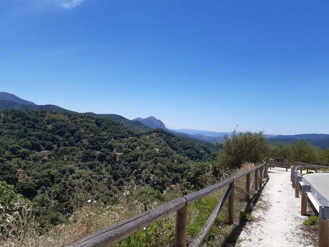 Land for sale in Genalguacil, Malaga photo 1