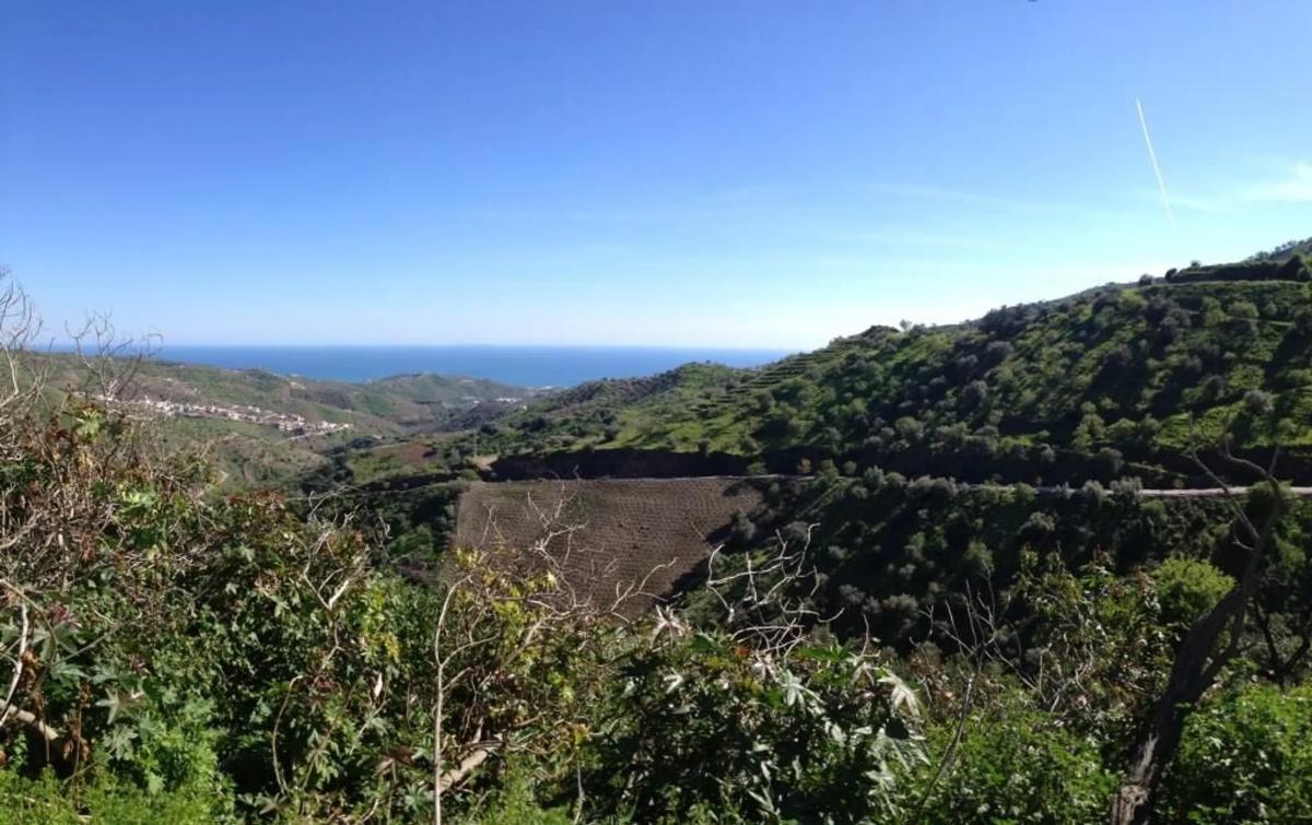 Działka na sprzedaż w Moklindżo, Malaga photo 4