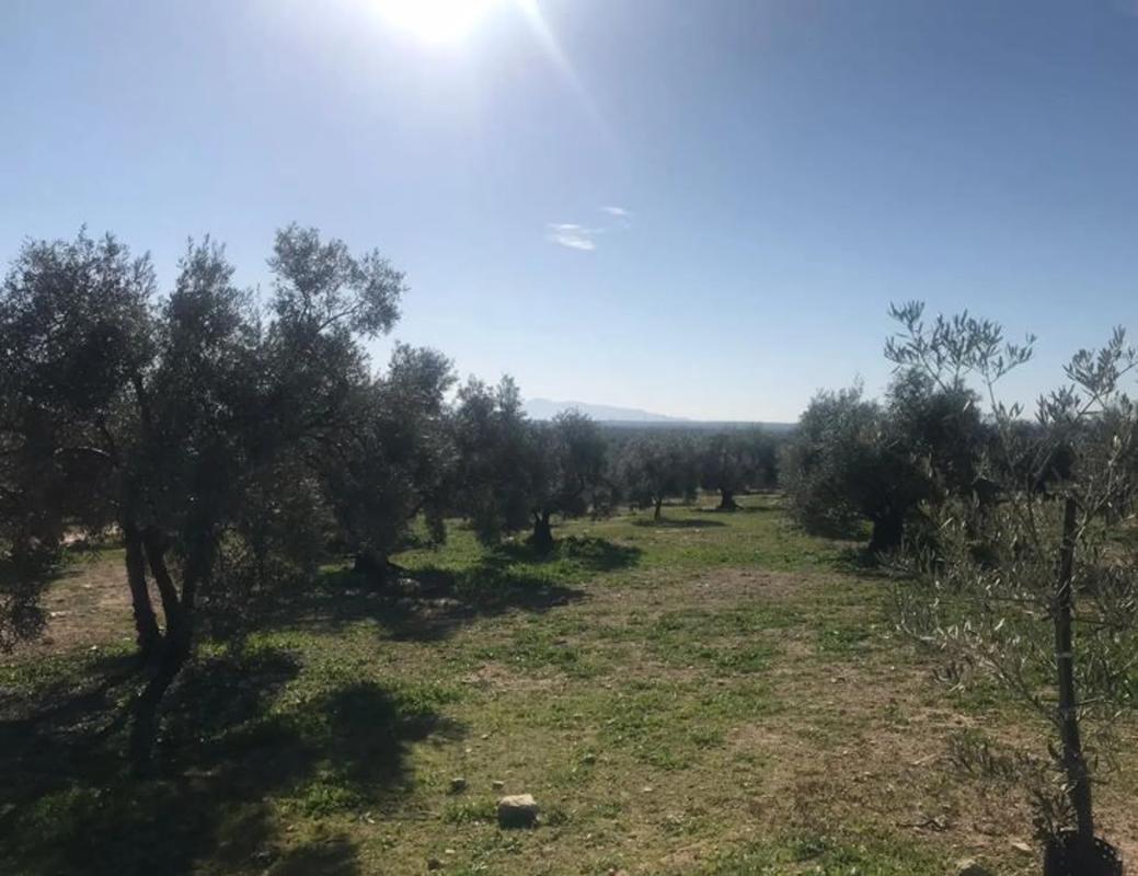 Działka na sprzedaż w Alameda, Malaga photo 2