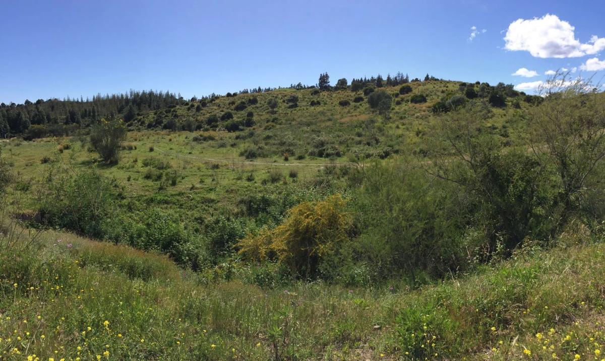 Terreno en venta en Mijas, Malaga photo 1