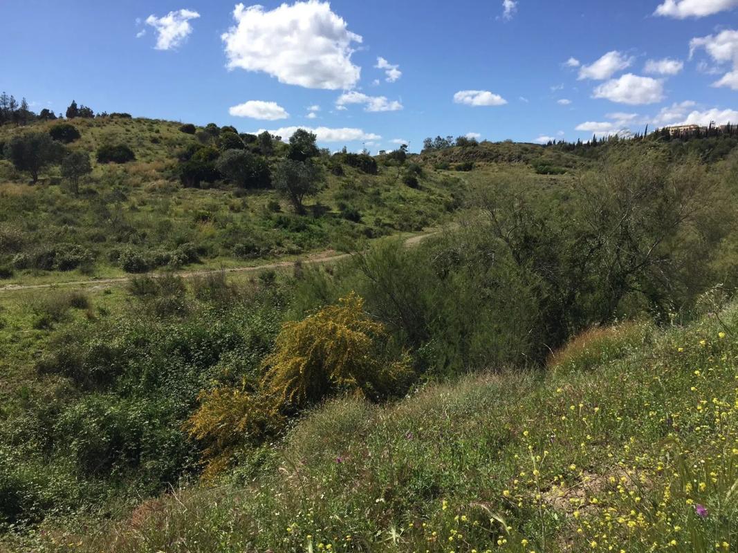 Terreno en venta en Mijas, Malaga photo 4