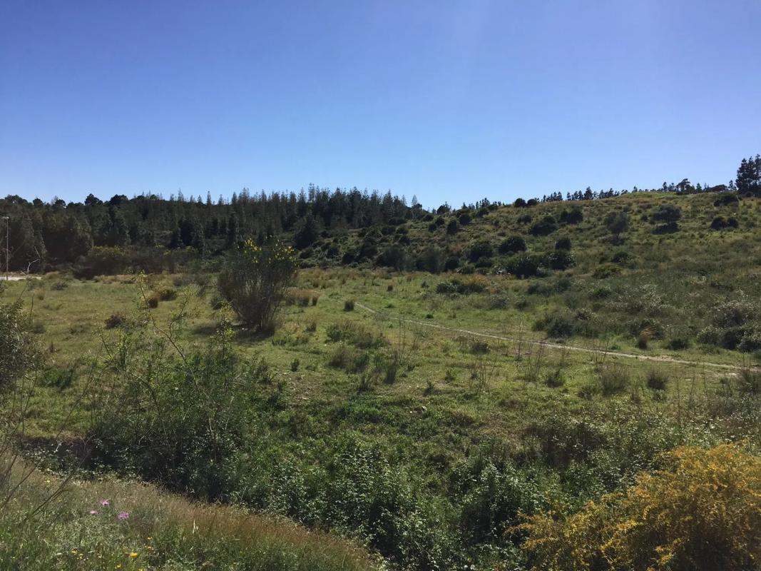 Terreno en venta en Mijas, Malaga photo 5