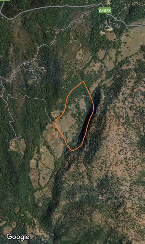 Terreno en venta en Cortes de la Frontera, Malaga plan 1