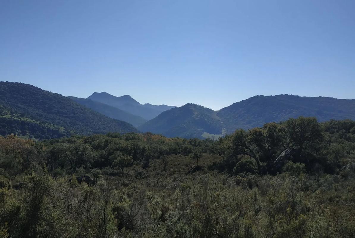 Terreno en venta en Cortes de la Frontera, Malaga photo 3