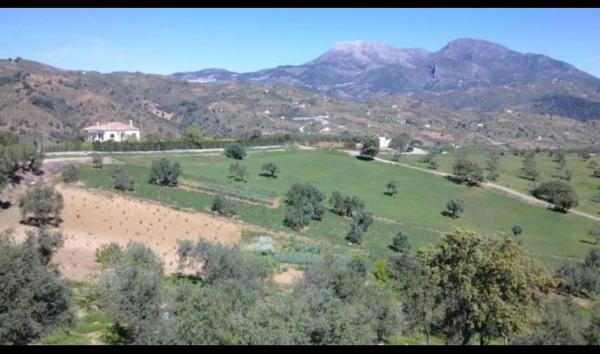 Terreno en camino de Chiribenítez s/n Sin númer photo 4