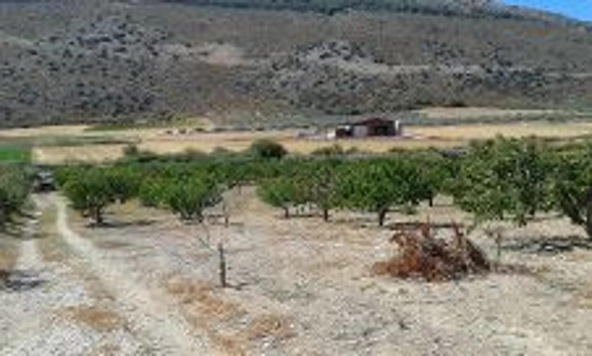 Terreno en venta en Alfarnate, Malaga photo 3