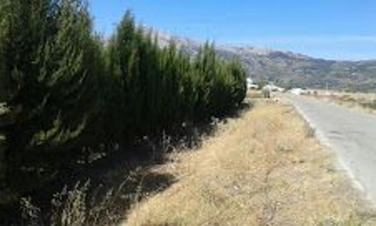 Terreno en venta en Alfarnate, Malaga photo 4