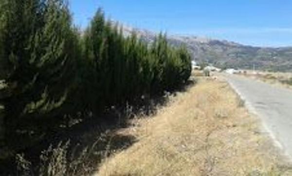 Terreno en Paraje del Cura, km 1 photo 4