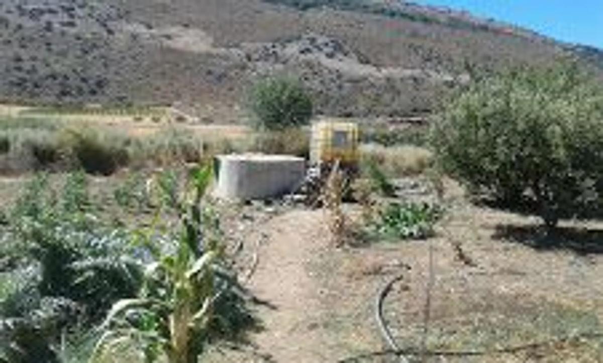 Terreno en venta en Alfarnate, Malaga photo 5