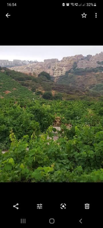 Terreno en venta en Manilva, Malaga photo 1