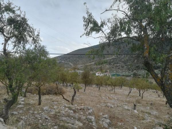Terreno en calle Perchel, 63 photo 3
